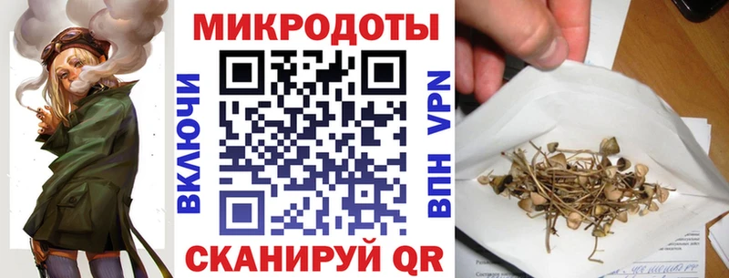 Галлюциногенные грибы Cubensis  Вельск 